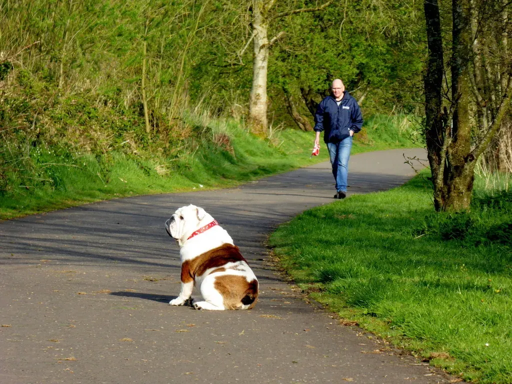 Conclusion: It's a Marathon, Not a Sprint (Image Credits: Wikimedia)