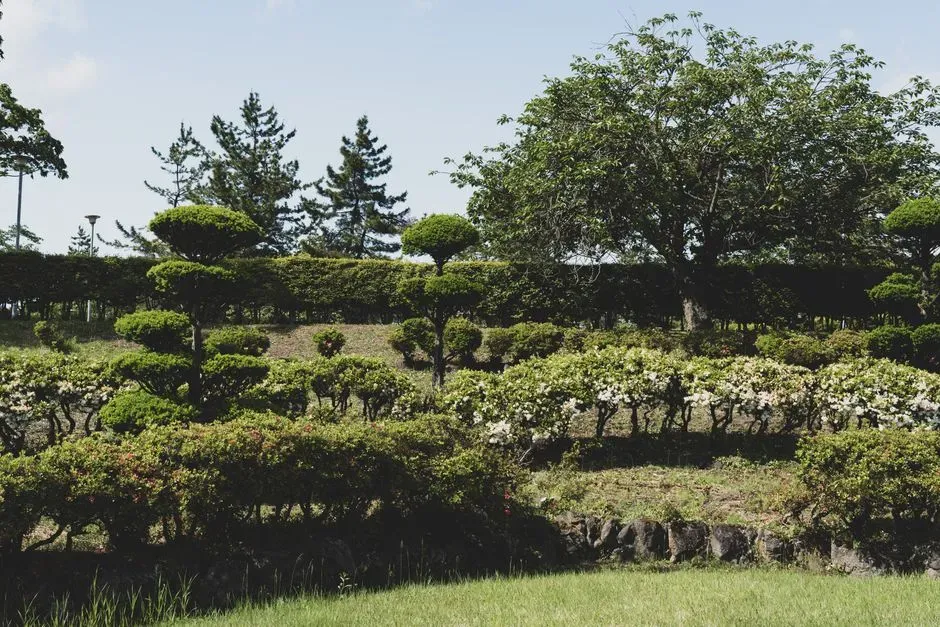 Layered Garden Heights (Image Credits: Pexels)