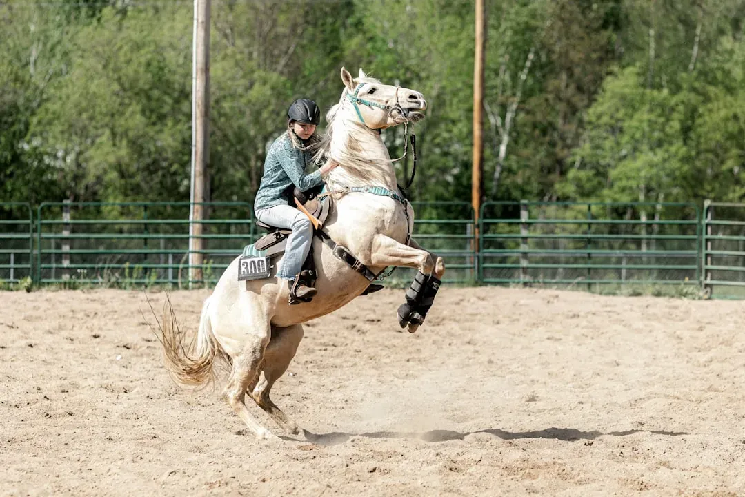 #9 Rearing Gets Met with Force When the Horse Is Actually Terrified (Image Credits: Unsplash)