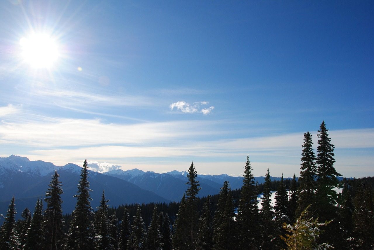 Olympic National Park - Washington's Diverse Ecosystem Showcase (Image Credits: Pixabay)