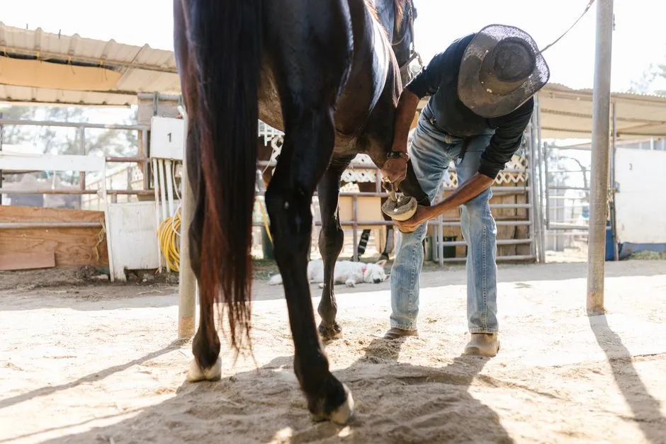 #9 – Neglecting Hoof Care and Farrier Relationships (Image Credits: Pexels)