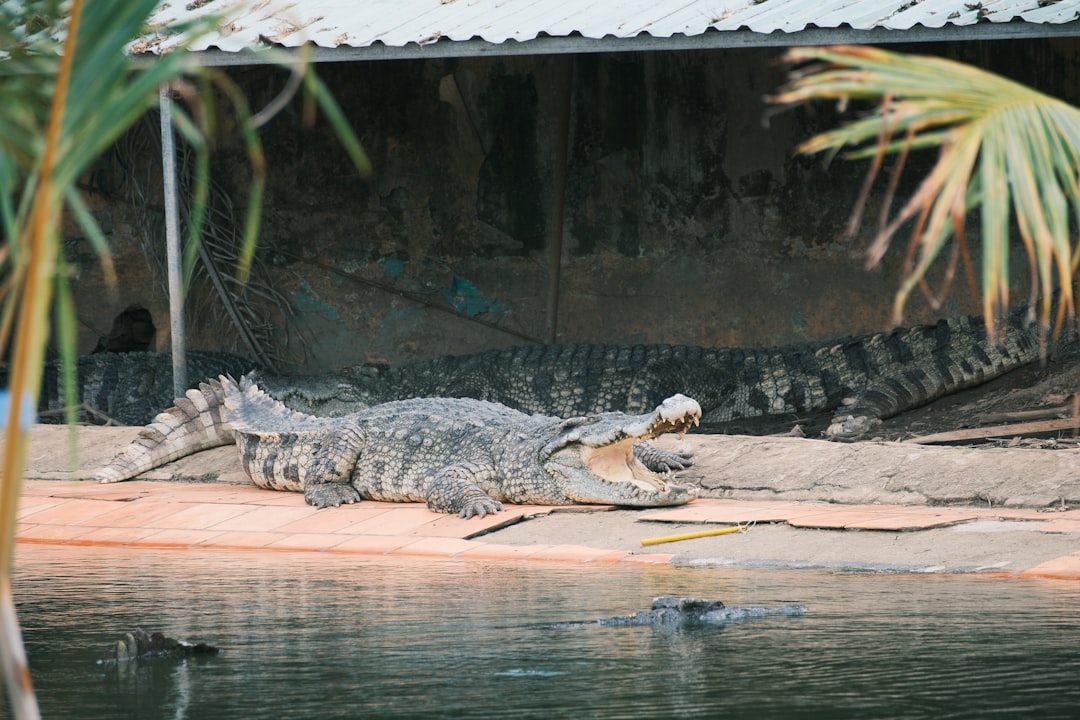 The Aftermath: What Happens Next (Image Credits: Unsplash)