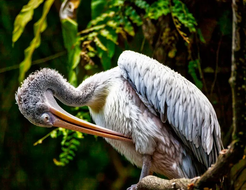 2. Preening Your Hair or Clothes (Image Credits: Pexels)