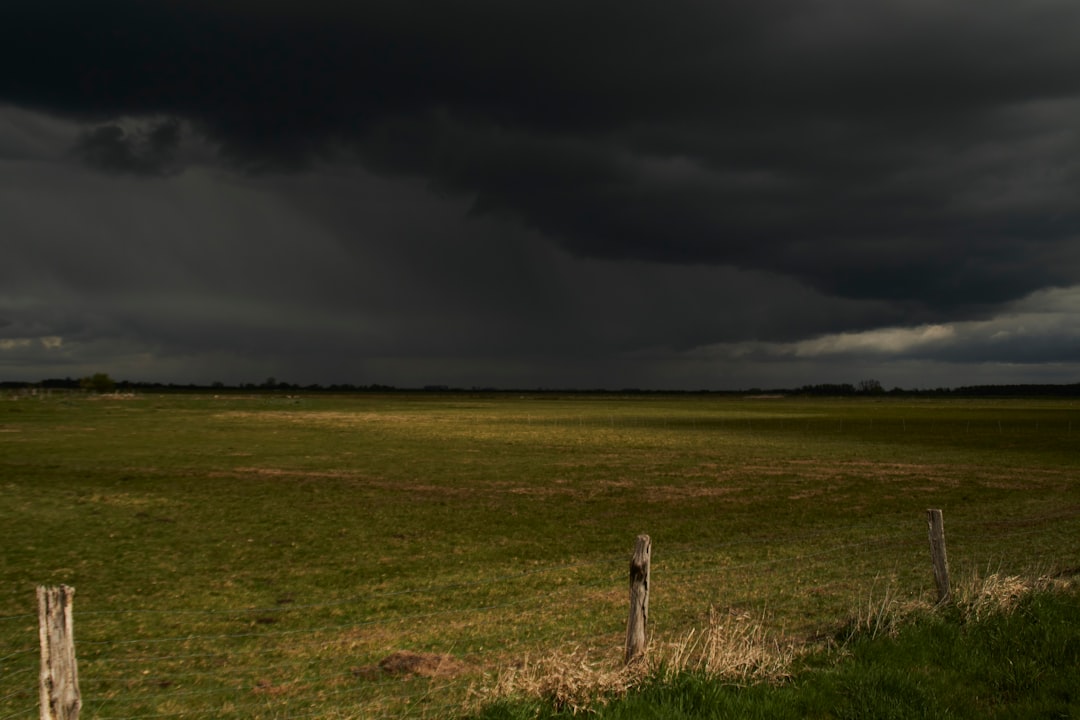The Science Behind Nature's Green Warning Light (Image Credits: Unsplash)