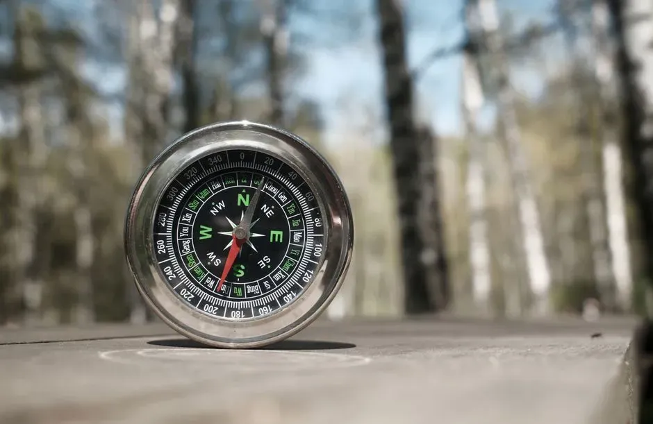 Why Navigation Systems Need Frequent Updates (Image Credits: Pexels)