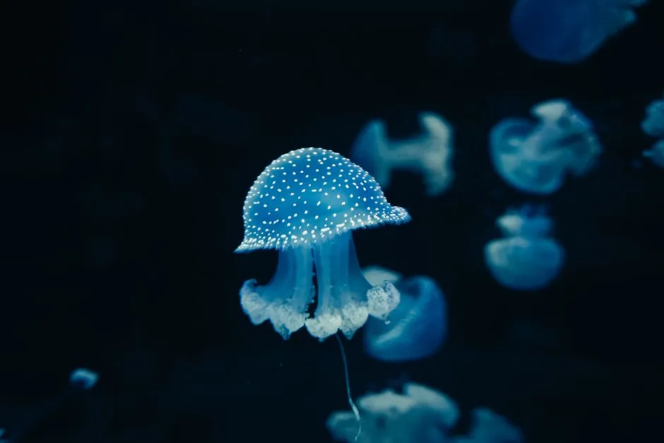 A Real-Time Predator Alert System in the Food Chain (Image Credits: Pexels)