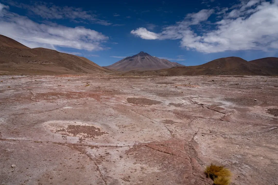 The Atacama Desert's Microbial Sanctuaries (Image Credits: Unsplash)