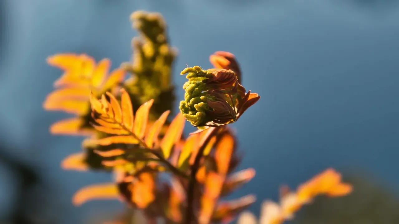 1. Make Native Plants the Foundation of Your Garden (Image Credits: Pixabay)