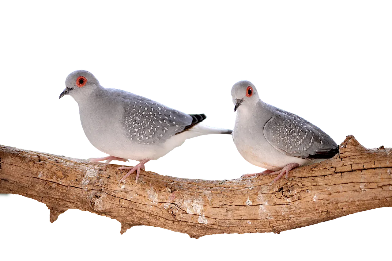 What Science Can and Cannot Tell Us (Image Credits: Pixabay)