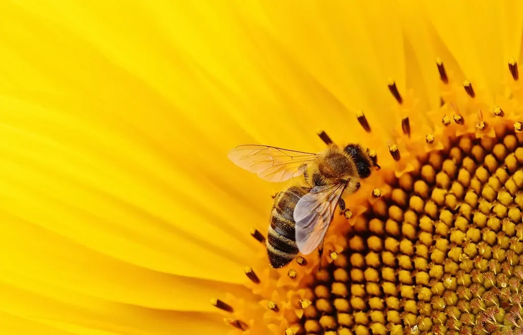 #8 Leaving the Garden Without Blooms in Early Spring or Late Fall (Image Credits: Rawpixel)