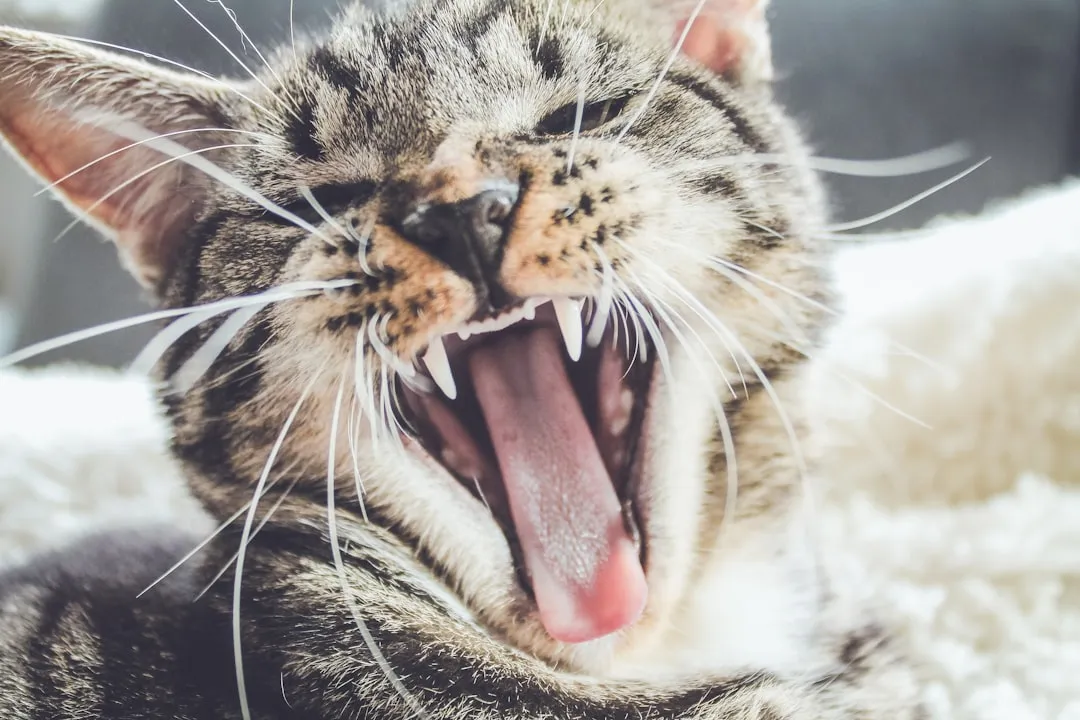 #7 - The New Soundtrack: Night Cries and Odd Vocal Changes (Image Credits: Unsplash)