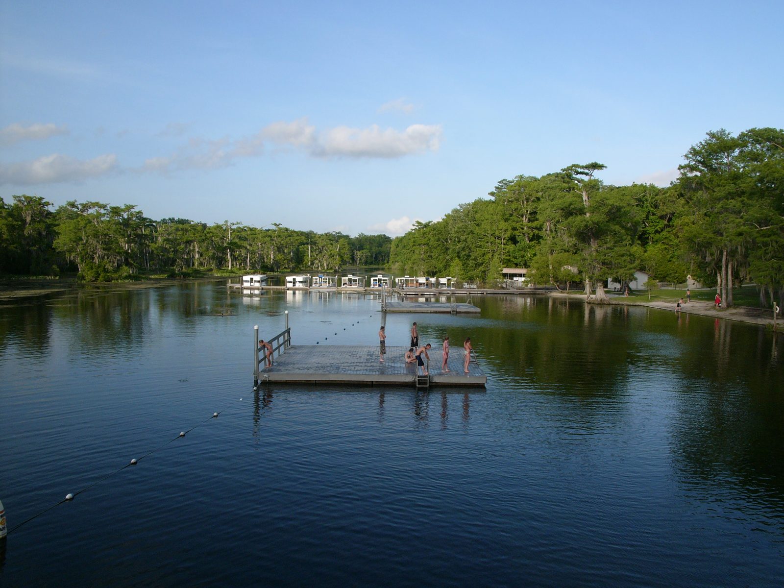 Wakulla Springs: Nature's Own Water Park (Image Credits: Wikimedia)