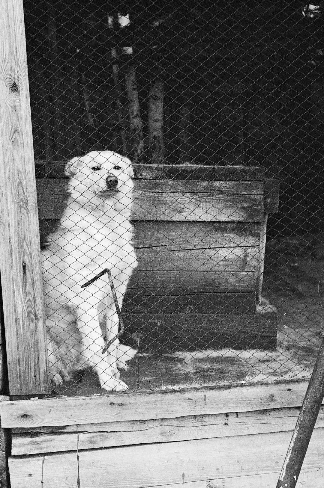 Using Punishment Instead of Positive Reinforcement (Image Credits: Unsplash)