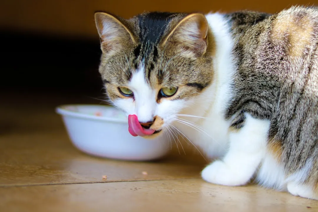 #14: They Start Eating Just Enough to Keep You From Panicking (Image Credits: Unsplash)
