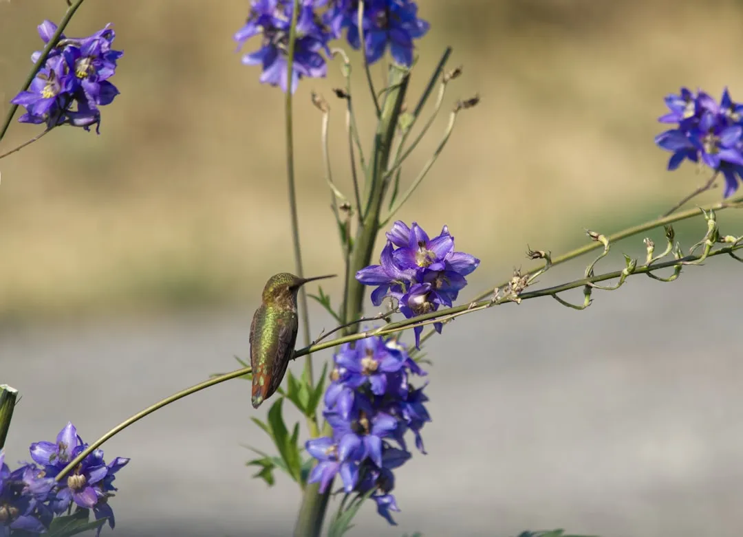 #5 - Not Every "Lonely" Young Bird Needs You to Intervene (Image Credits: Unsplash)