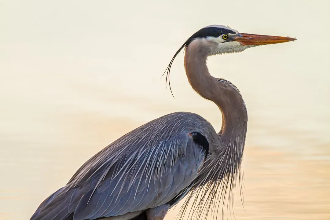 Physical Size and Surprising Lightness (Image Credits: Unsplash)