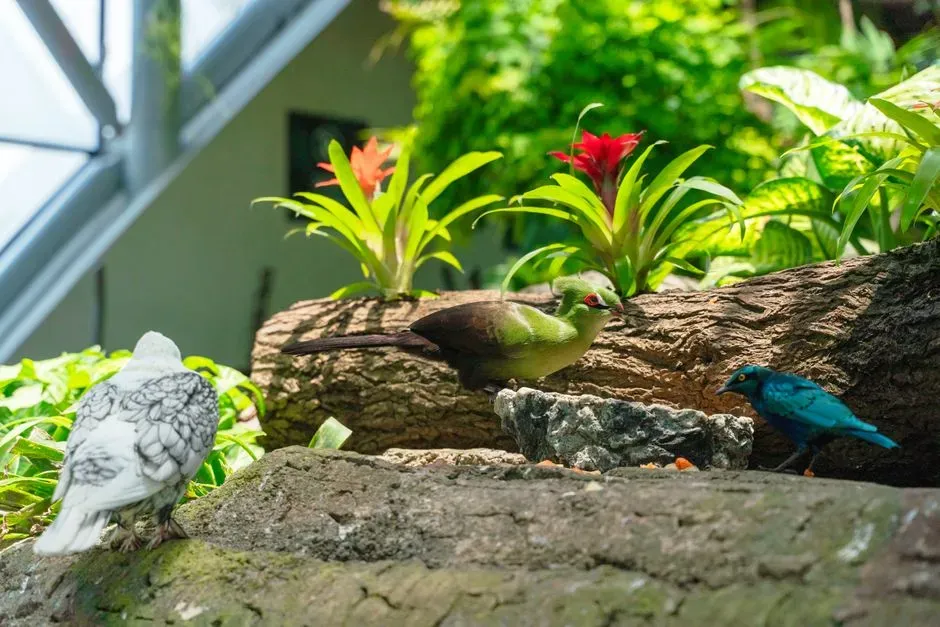 #10 Overcrowding Plants Without Spacing (Image Credits: Pexels)