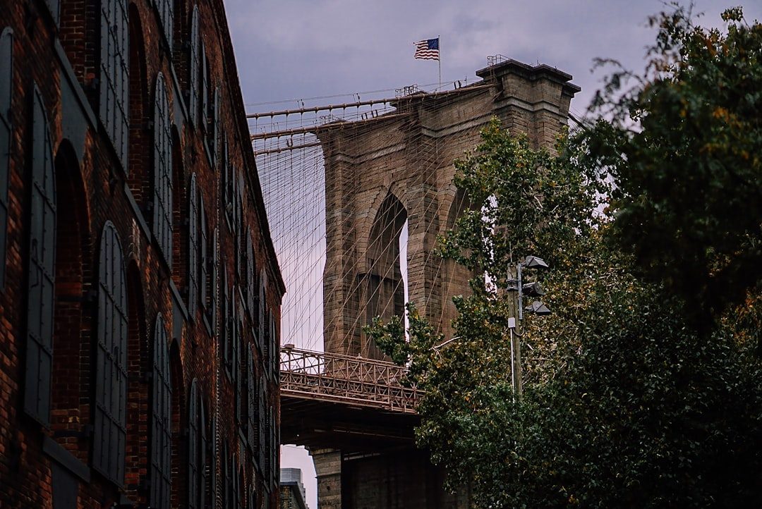 Brooklyn Bridge's Wine Cellar Business (Image Credits: Unsplash)