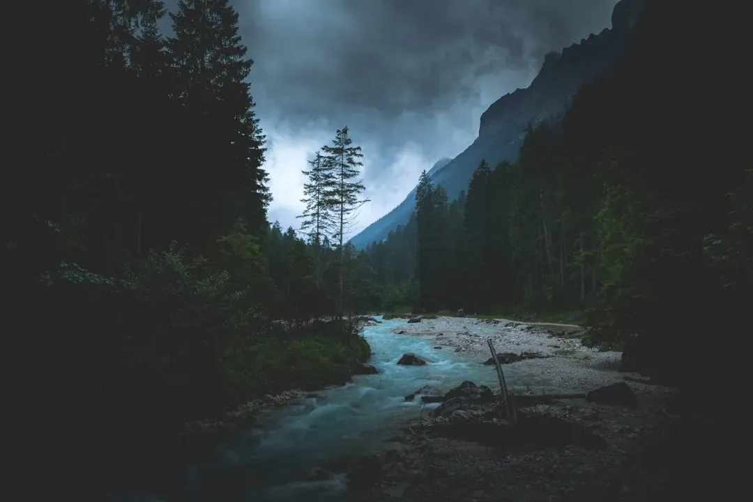 Looking Ahead With This Knowledge (Image Credits: Unsplash)