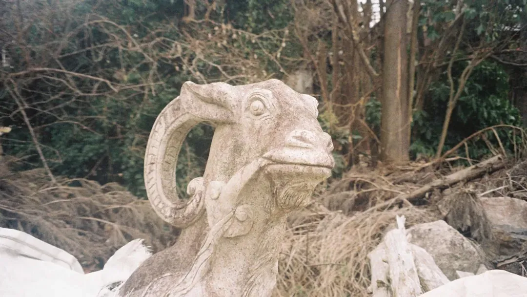 Conclusion: Are You Ready for the Fire Goat? (Image Credits: Unsplash)