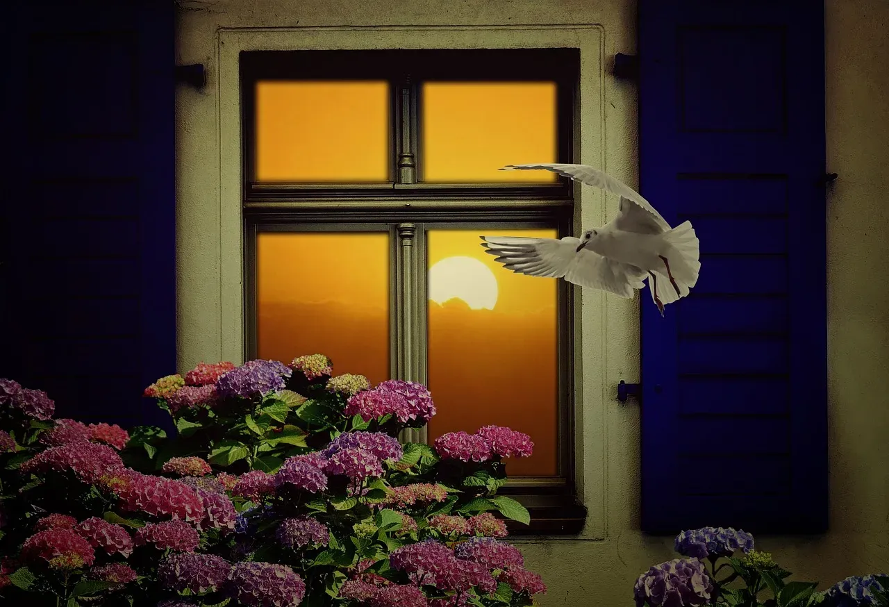 9. Birds Flying Into Your Home - A Message From Beyond? (Image Credits: Pixabay)