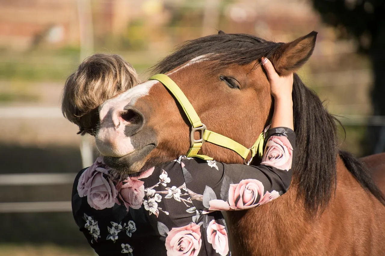 #3 - They Seek Physical Contact Like a Security Blanket (Image Credits: Pixabay)