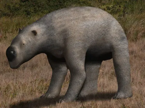 The Diprotodon (By Nobu Tamura (https://spinops.blogspot.com), CC BY 3.0)