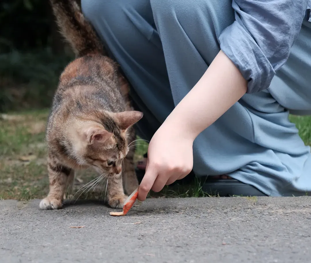 Times You Fed Them and Made Them Feel Safe (Image Credits: Unsplash)