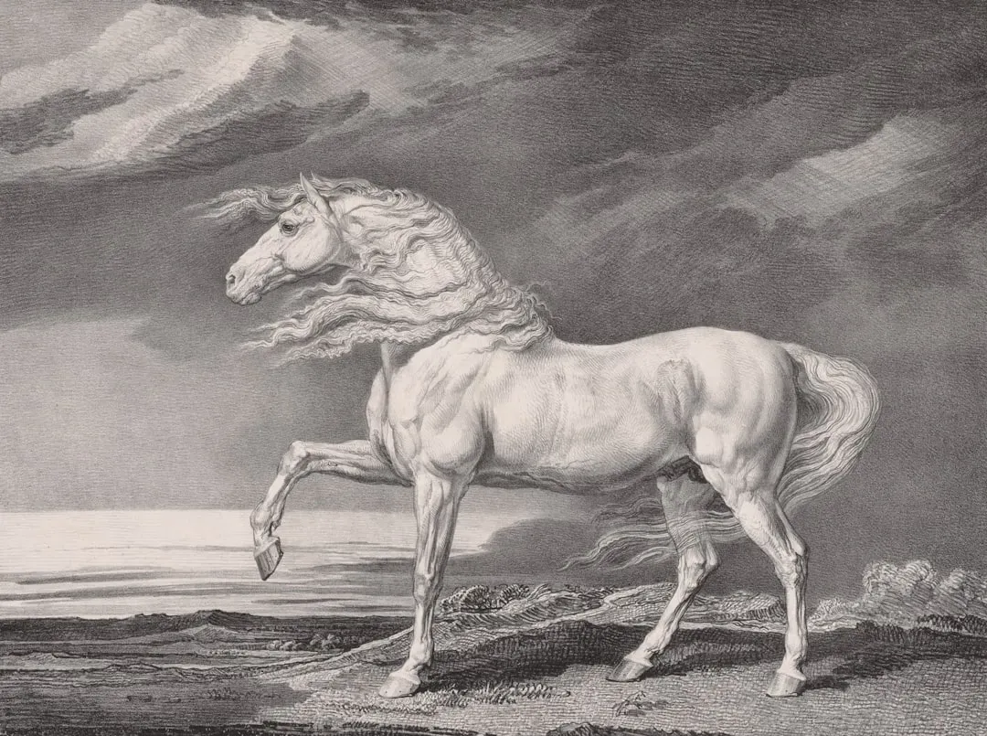 The Horse as a Universal Astrological Symbol (Image Credits: Unsplash)