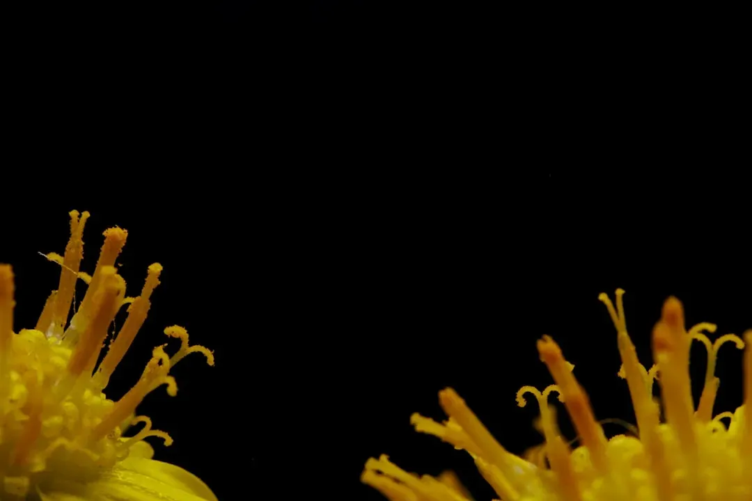 Creatures That Challenge Our Understanding of Life (Image Credits: Unsplash)
