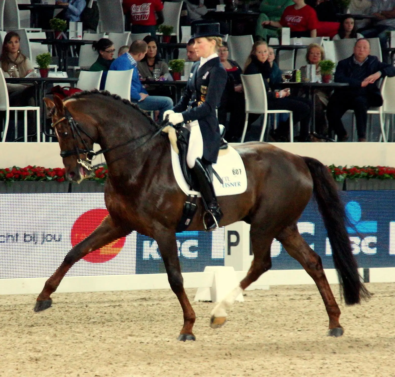 #18 - Hanoverian (By World Dressage Masters, CC BY 2.0)
