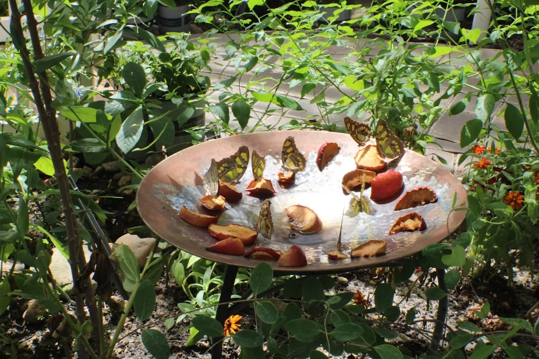 4. Audubon Copper Roof Feeder: The One That Ages Into a Landmark (Image Credits: Unsplash)