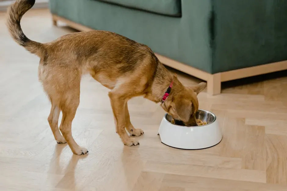 #7: Inconsistent Feeding Schedules (Image Credits: Pexels)
