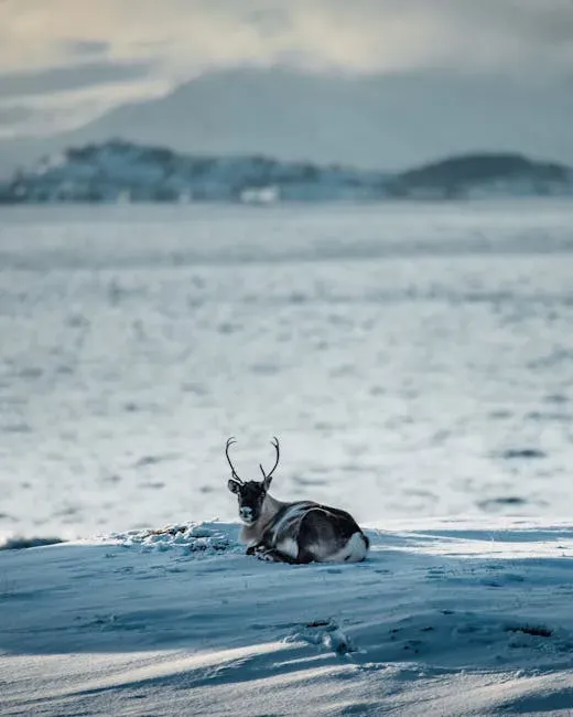 Conclusion: A Wild World Worth Protecting (Image Credits: Pexels)