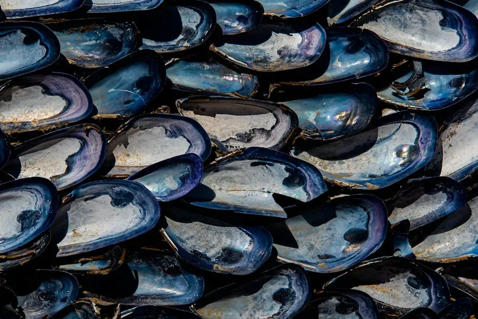 9. Freshwater Mussels: Silent Water Keepers (Image Credits: Pexels)