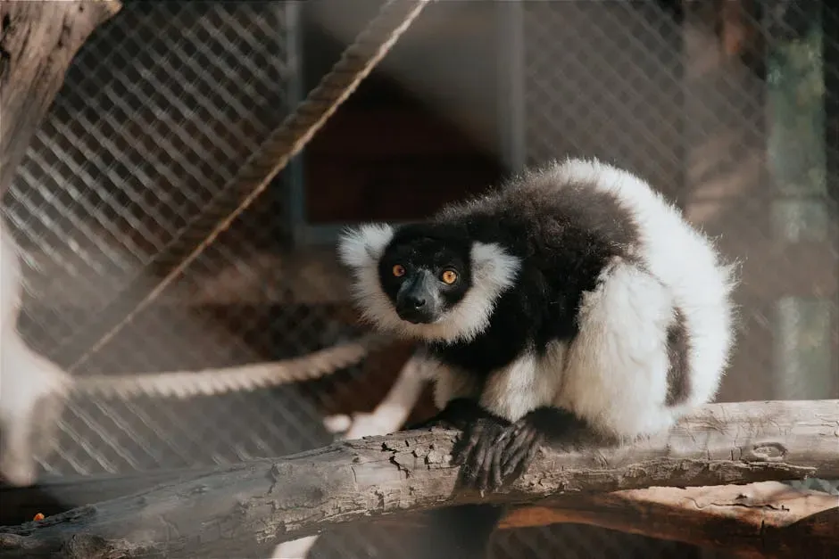 Cincinnati Zoo and Botanical Garden: Decades of Endangered Species Leadership (Image Credits: Pexels)