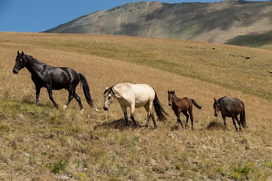 Colorado: Rocky Mountains and Free-Roaming Spirits (Image Credits: Pexels)