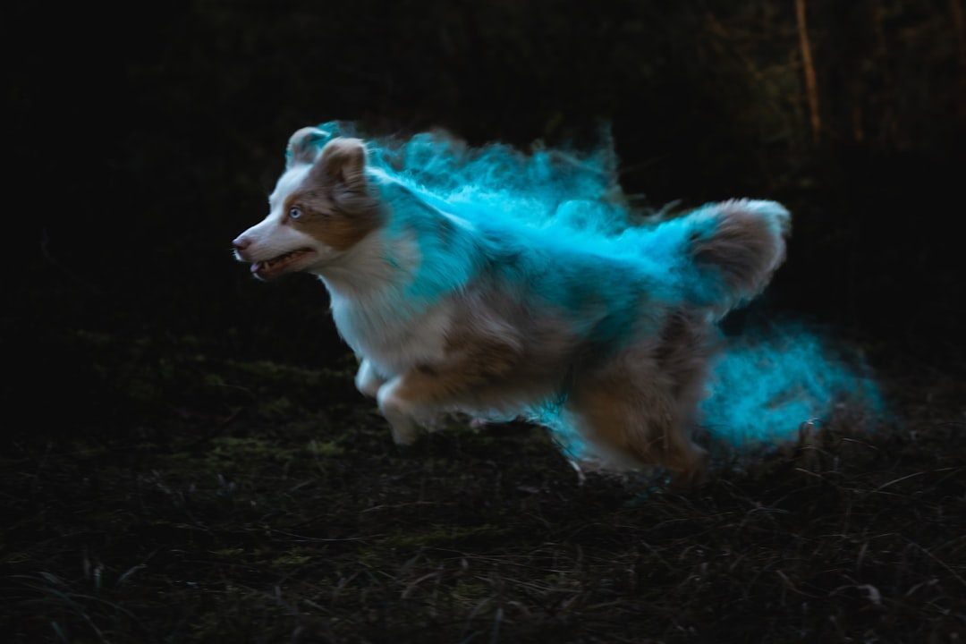 Conclusion: Walking with Your Spirit Guide (Image Credits: Unsplash)