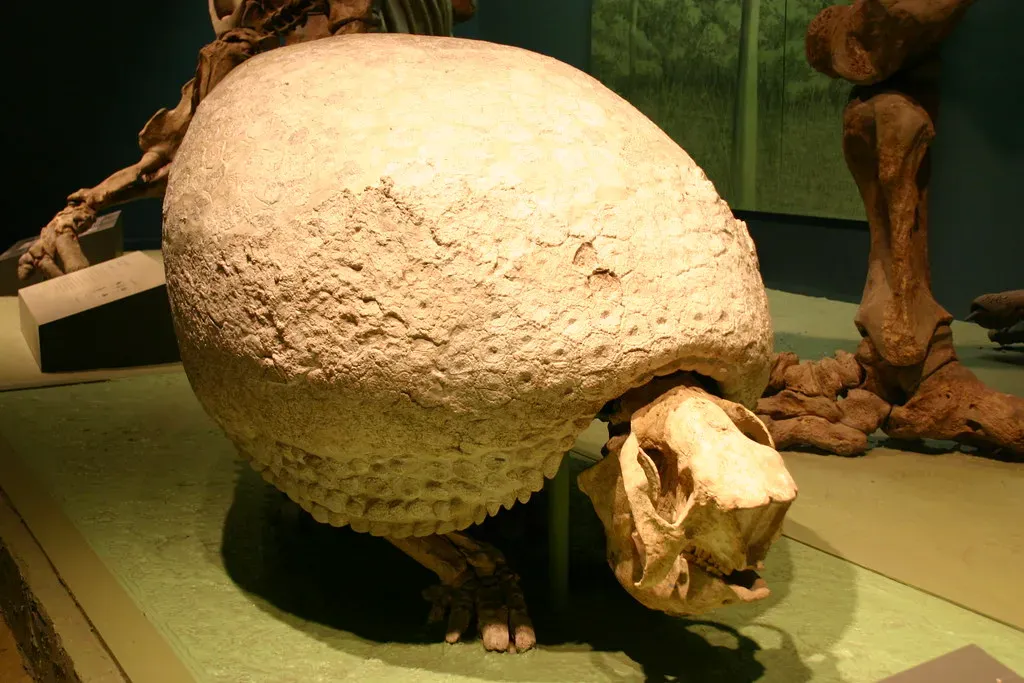 The Glyptodon (Ryan Somma, Flickr, CC BY-SA 2.0)