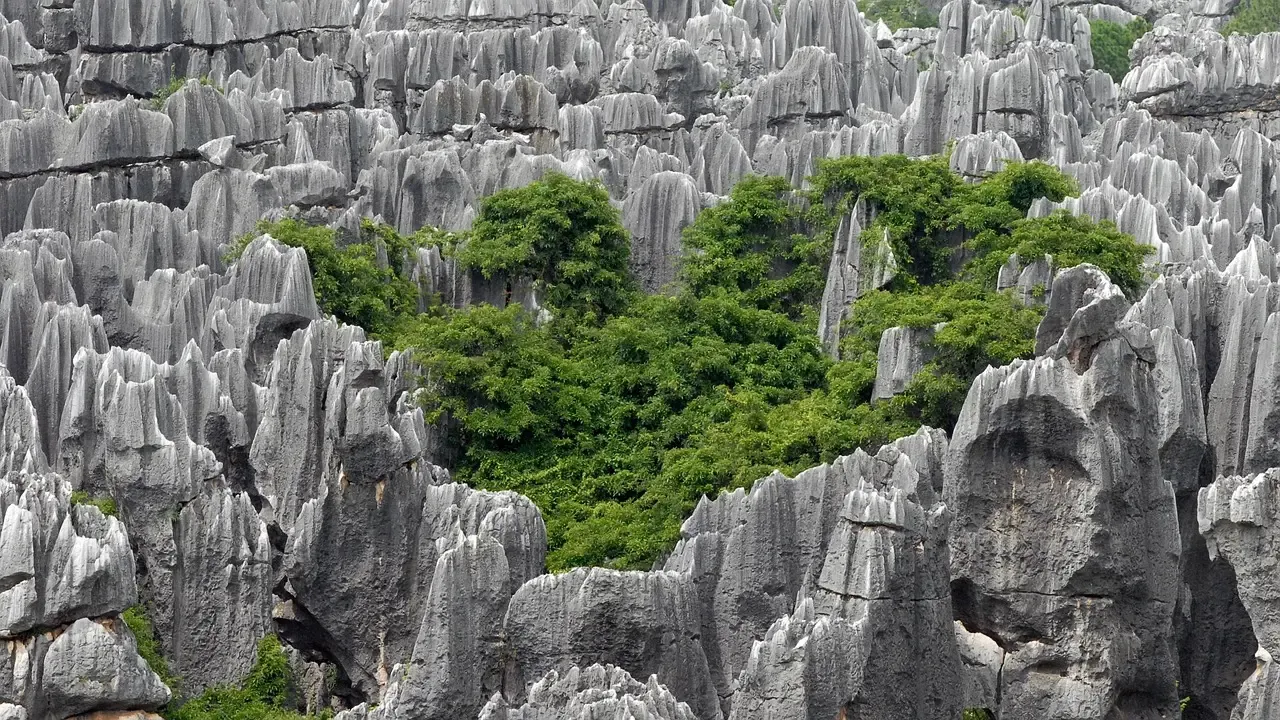 Tsingy Forest, Madagascar (Image Credits: Pixabay)