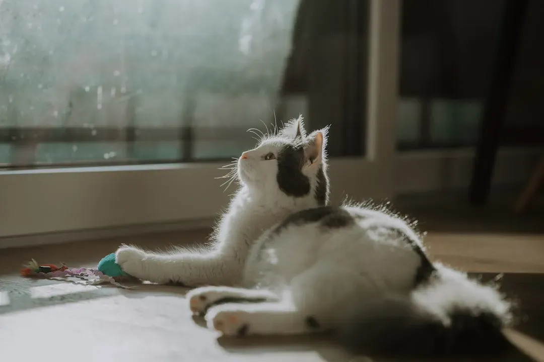 The Indoor Advantage and Other Lifestyle Factors (Image Credits: Unsplash)