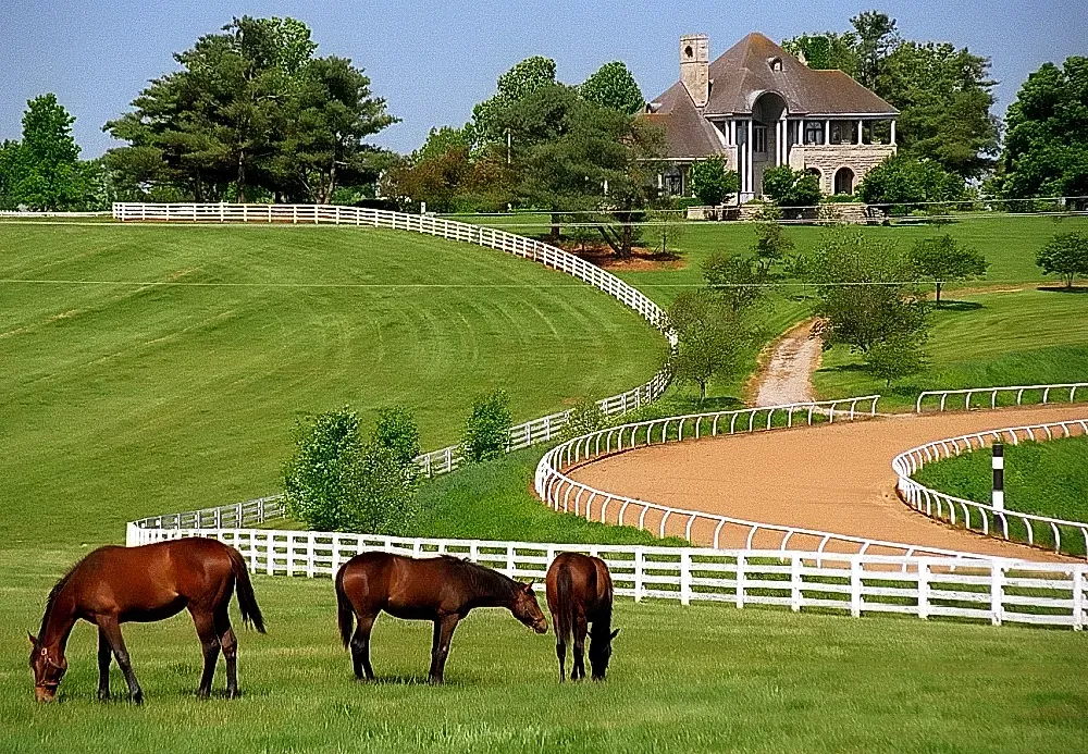 Kentucky: More Than Just Horse Country (Image Credits: Wikimedia)