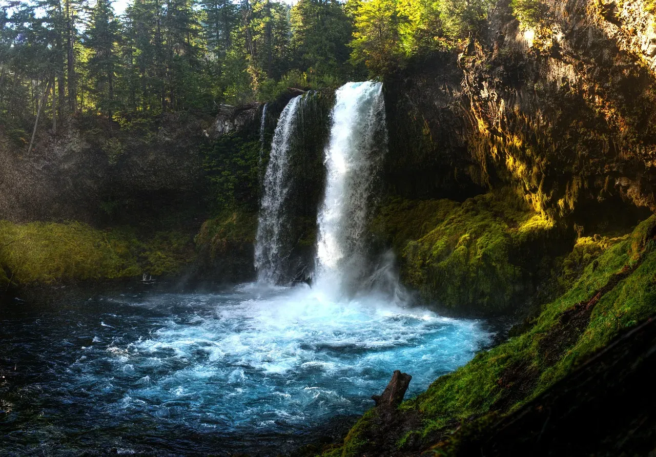 5. The Pacific Northwest: A Last Great Wilderness Under Unprecedented Pressure (Image Credits: Pixabay)