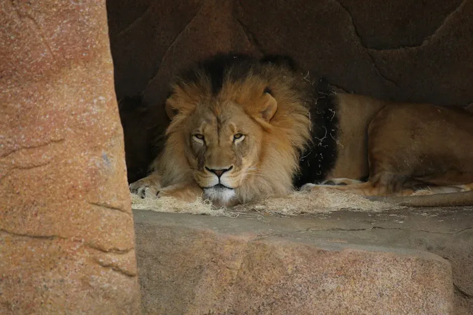 #9 - The American Cave Lion (Panthera atrox) (Image Credits: Pexels)