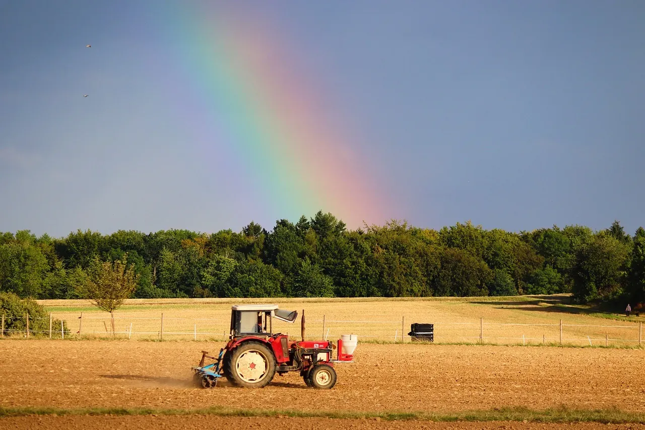 The Mystery Behind Sunlight's True Colors (Image Credits: Pixabay)