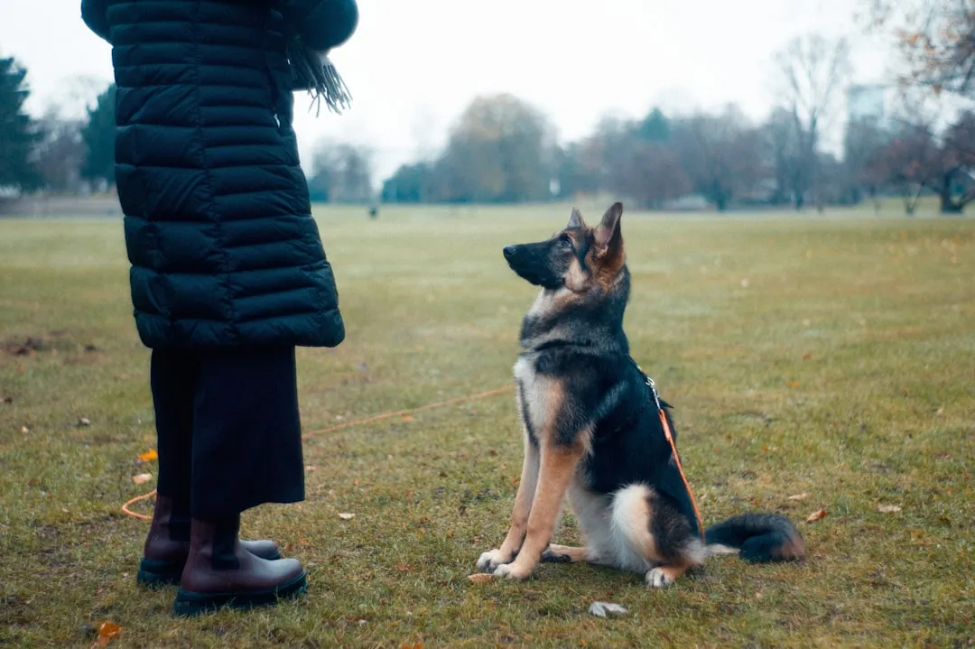 #4 - Neglecting Recall Training Until It Really Mattered (Image Credits: Unsplash)