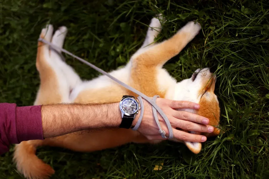 Never Wave Your Arms Or Make Sudden Movements (Image Credits: Unsplash)