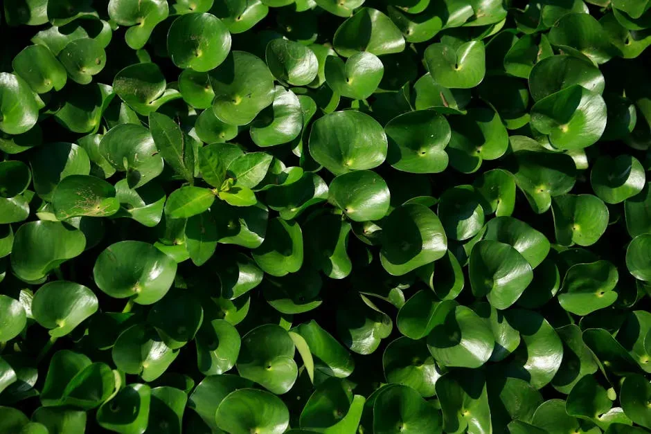 #7 Planting Invasive Species Without Realizing It (Image Credits: Pexels)