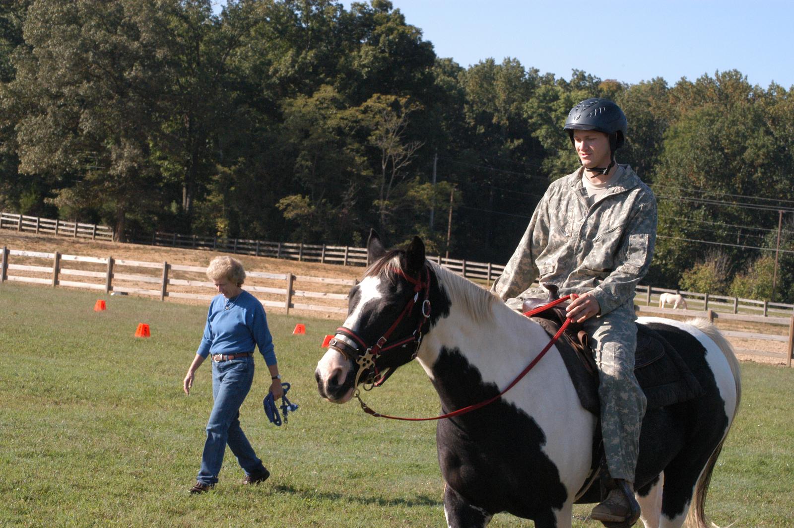 Pisces: The Intuitive Therapy Horse (Image Credits: Wikimedia)