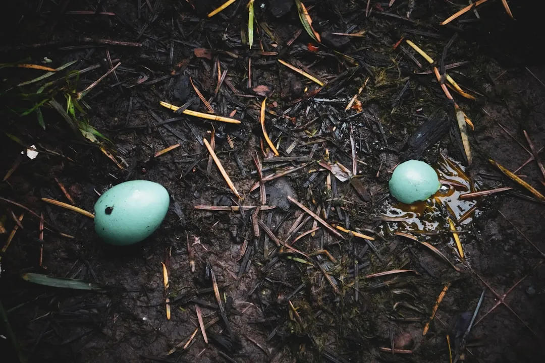Conclusion: Embracing the Mystery (Image Credits: Unsplash)